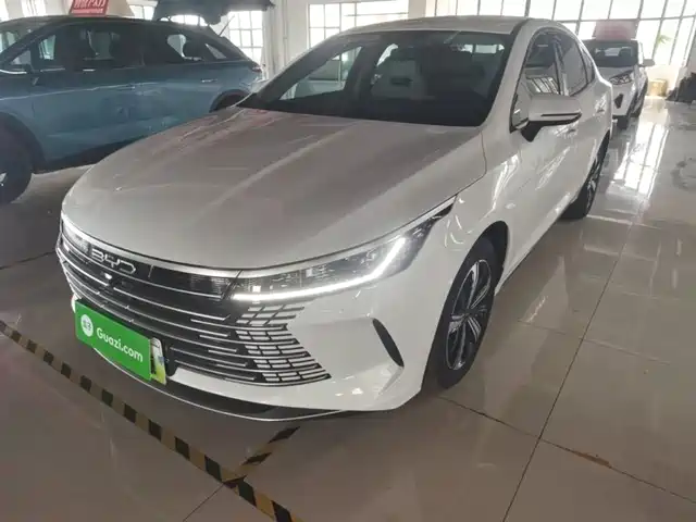  BYD Destroyer 05 2024 Glory Edition DM-i 120KM Luxury