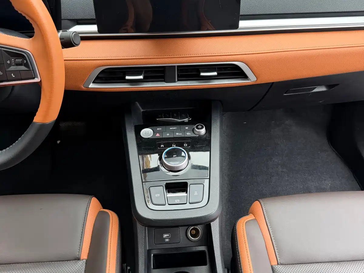 BYD e2 2021 Luxury Edition фото 31