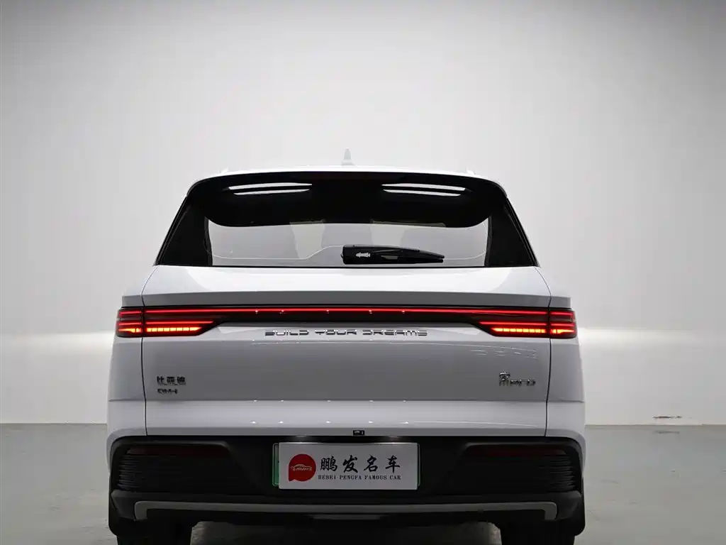 BYD Song Pro New Energy 2024 Glory Edition DM-i 71KM Pilot фото 16