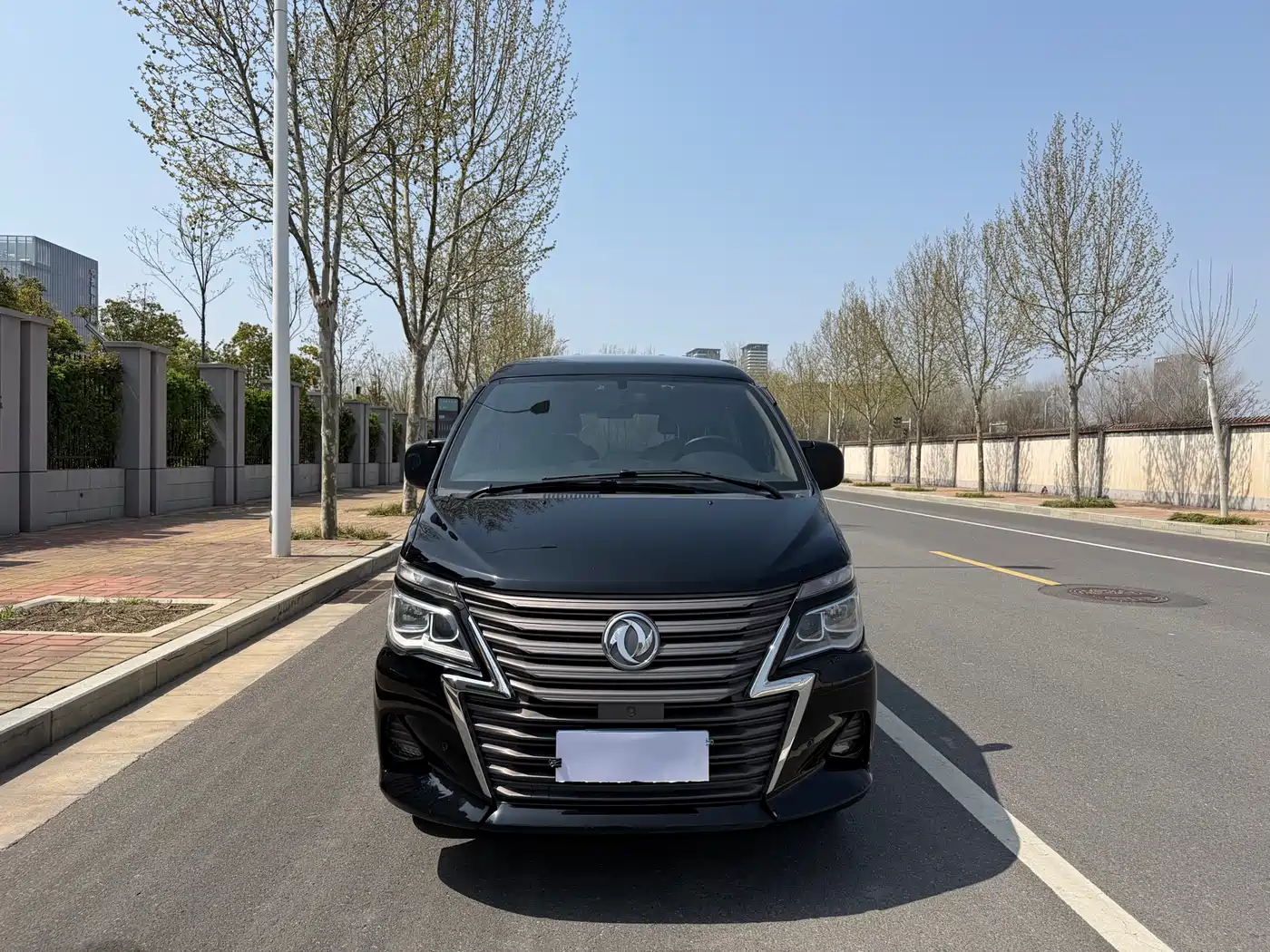 DONGFENG LINGZHI