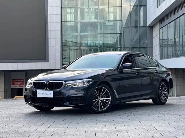 BMW 5 SERIES
