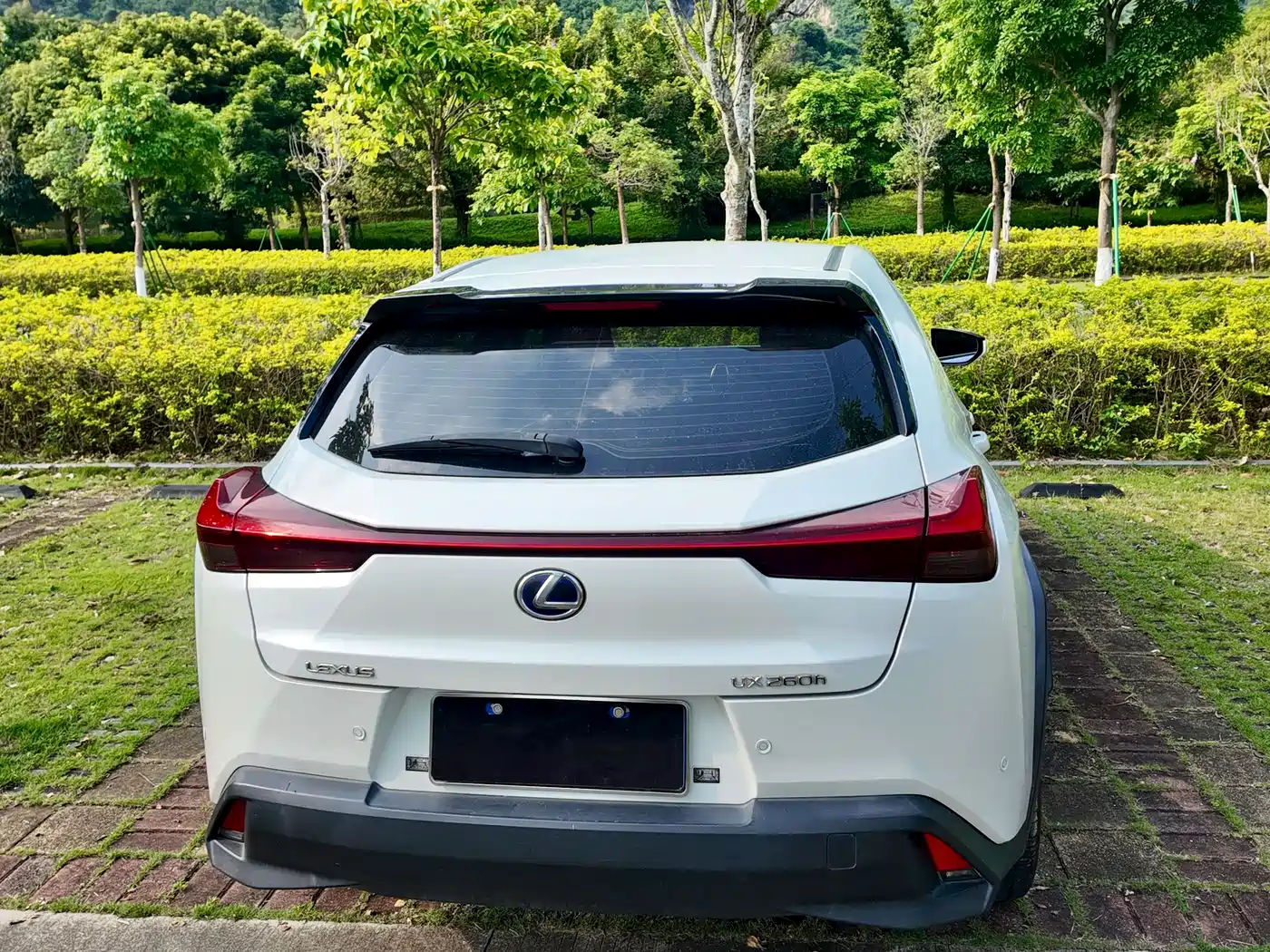 Lexus UX 2019 2019 260h Explorer Cool Edition (China V)