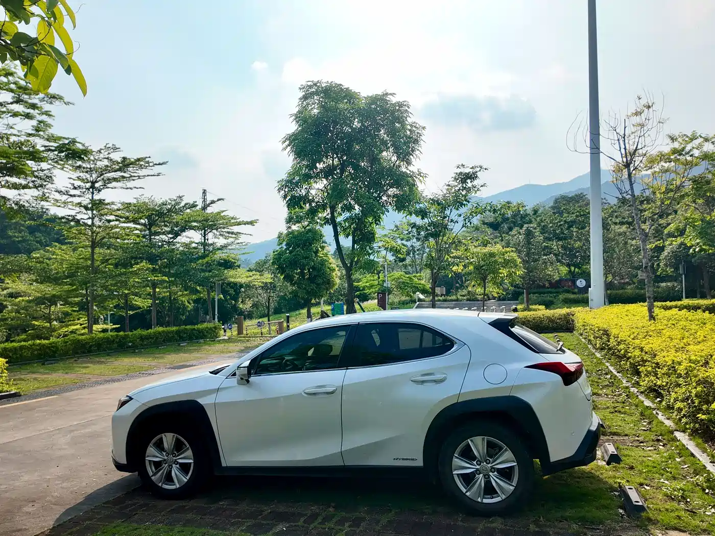 Lexus UX 2019 2019 260h Explorer Cool Edition (China V)