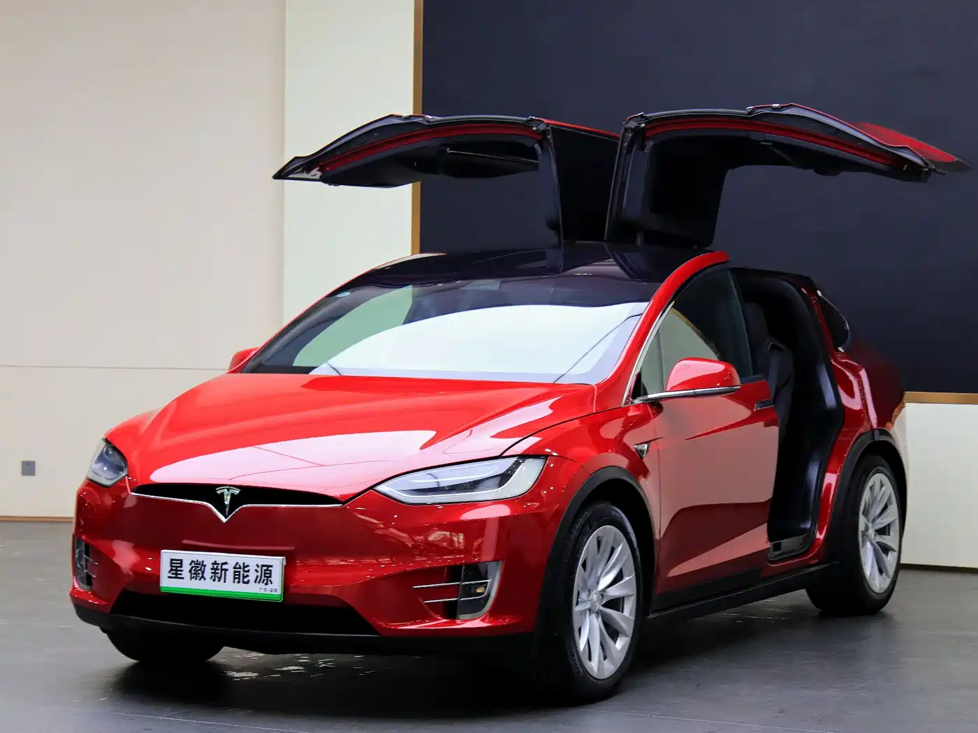 TESLA MODEL X 2017