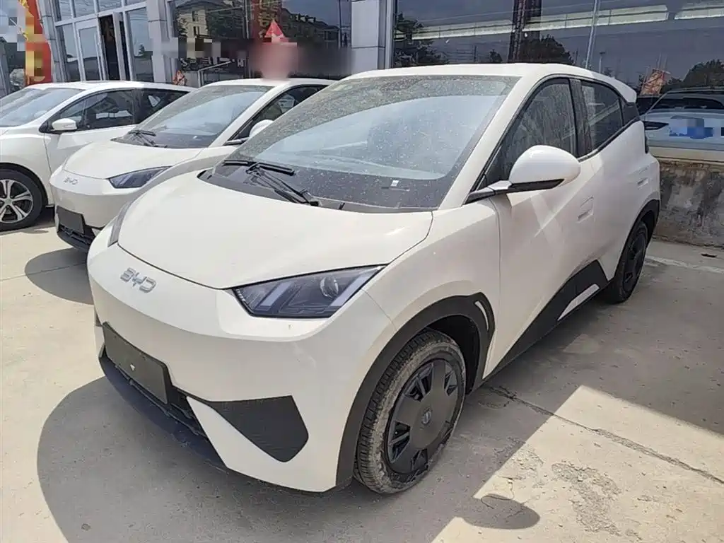 BYD Seagull 2025 Smart Drive Edition 305km Vitality Version