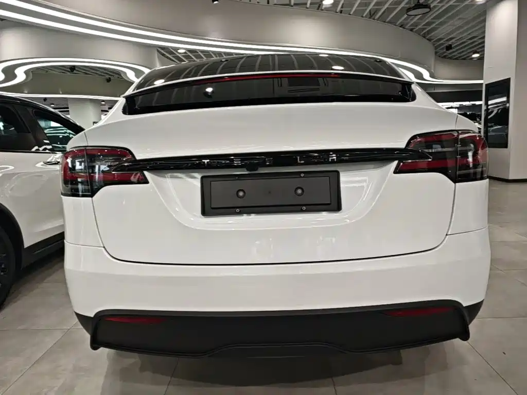 Фото 6 - Tesla Model X