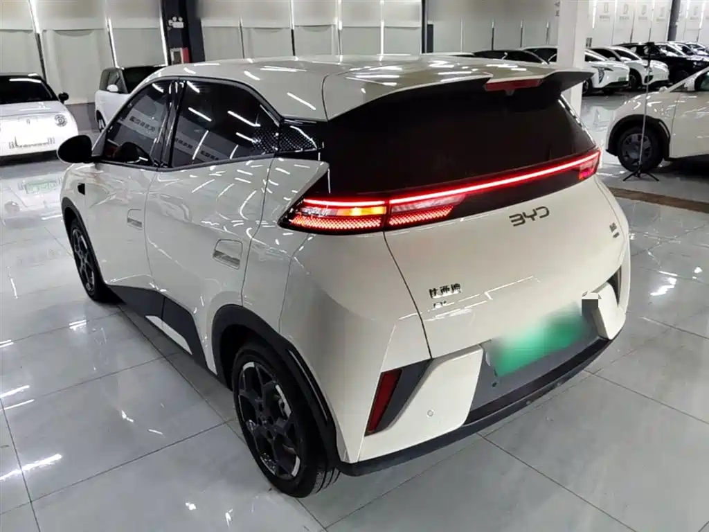 BYD Seagull 2025 Smart Drive Edition 305km Freedom Version фото 5