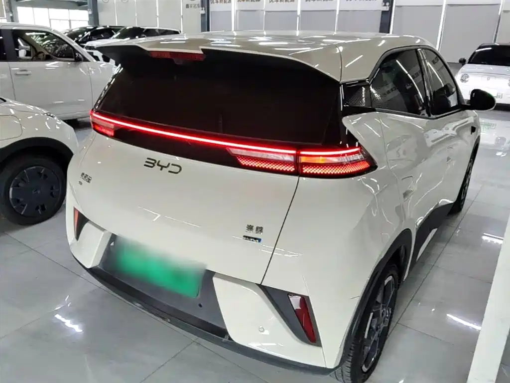 BYD Seagull 2025 Smart Drive Edition 305km Freedom Version фото 7