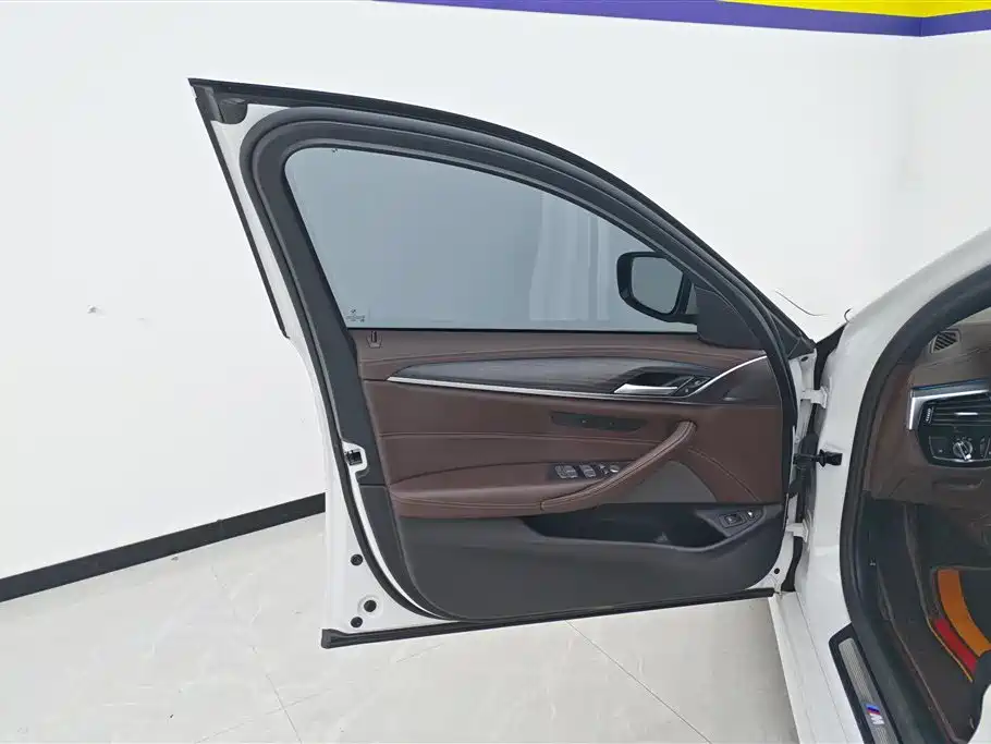 BMW 5 SERIES NEW ENERGY