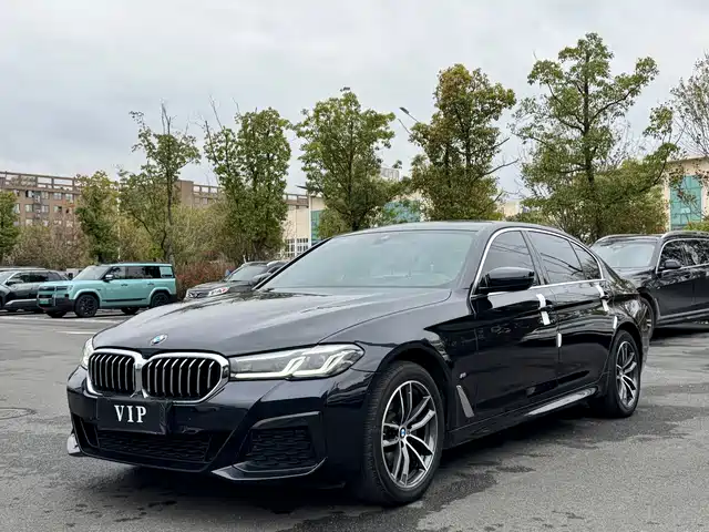 BMW 5 SERIES