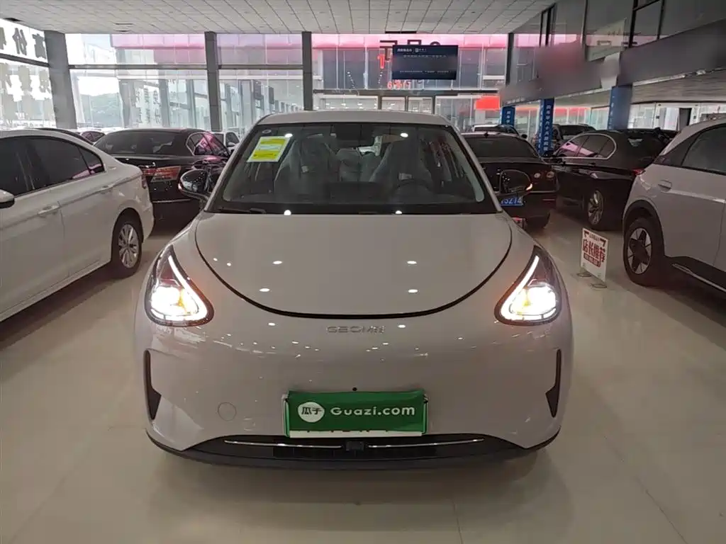 Geely Galaxy Starry Wish 2026 Edition 410km Freedom Version фото 3