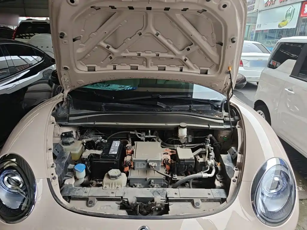 Ora Good Cat 2021 2021 400km Standard Range Venus Edition (NCM)