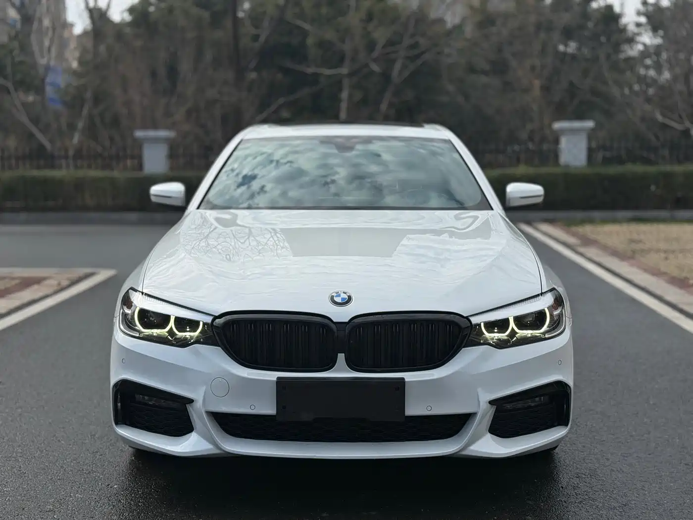 BMW 5 Series 2019 530Li Leading M Sport Package фото 2