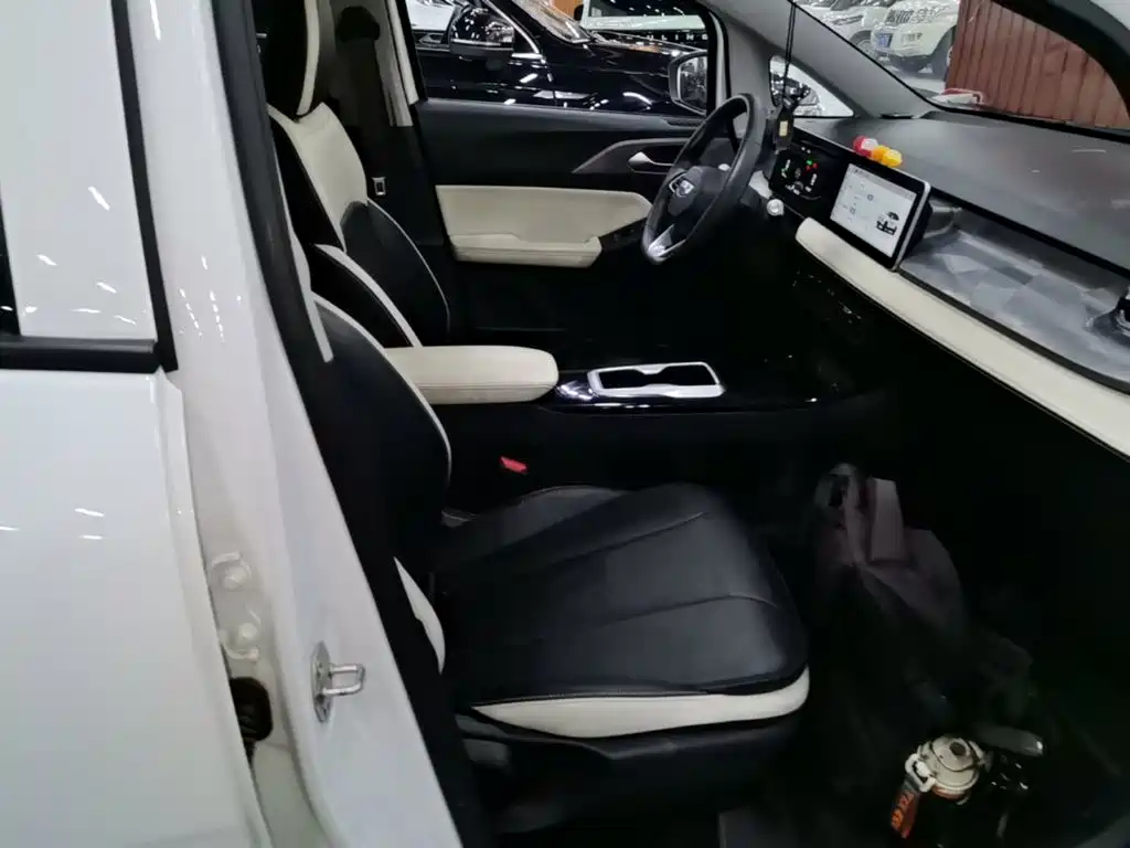 Geely Geometry E Firefly 2024 2024 401km Starlight