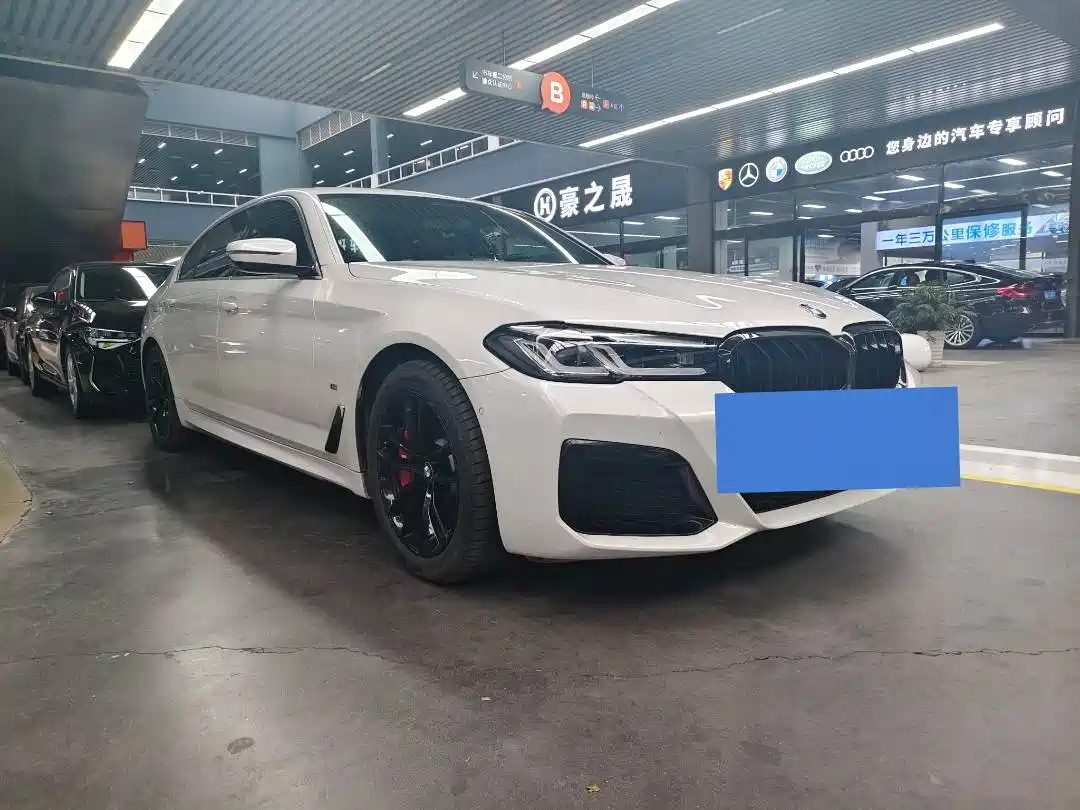 BMW 5 SERIES NEW ENERGY