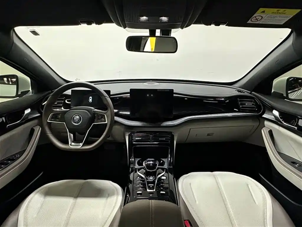 BYD Qin PLUS 2024 Glory Edition DM-i 55KM Leading фото 16