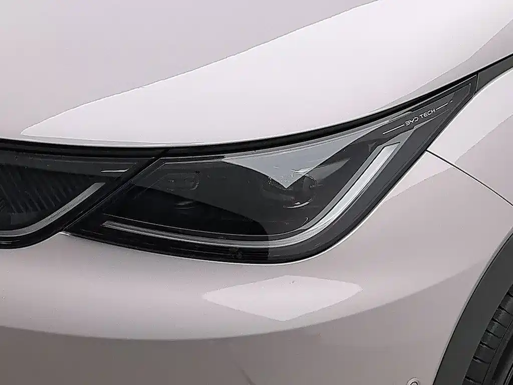 Фото 7 - BYD Dolphin