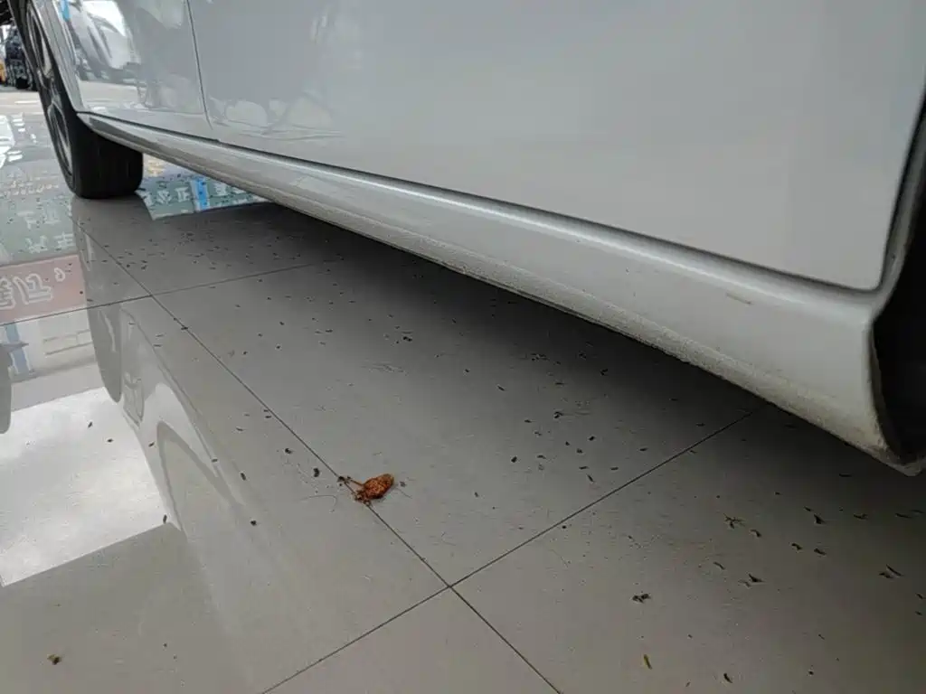 Ora White Cat 2021 2020 305km Luxury