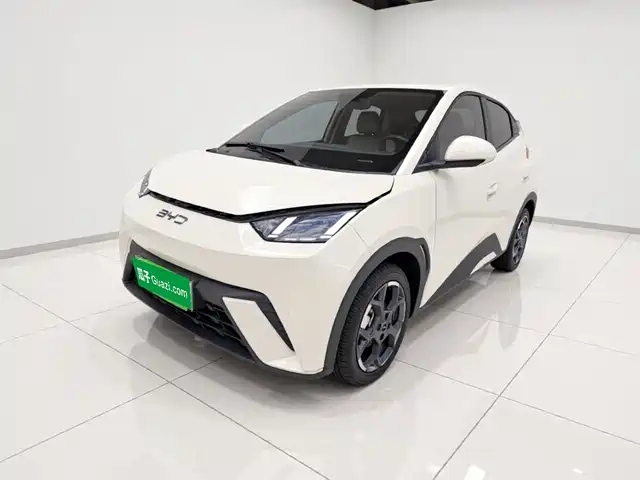 BYD Seagull 2025 405km Soaring