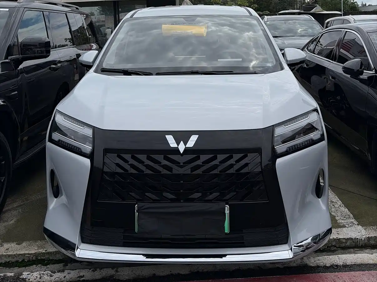 2025 Wuling Motors Xingguang 730 New Energy