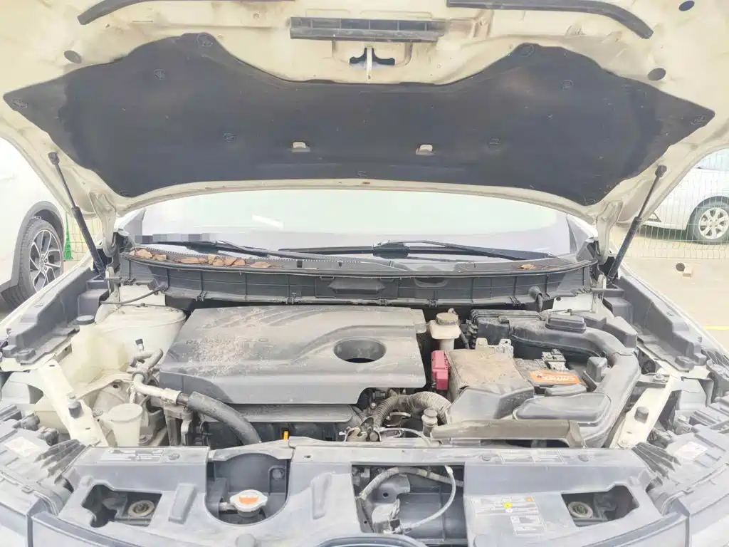 Renault Koleos 2018 2018 2.0L 2WD Luxury Edition