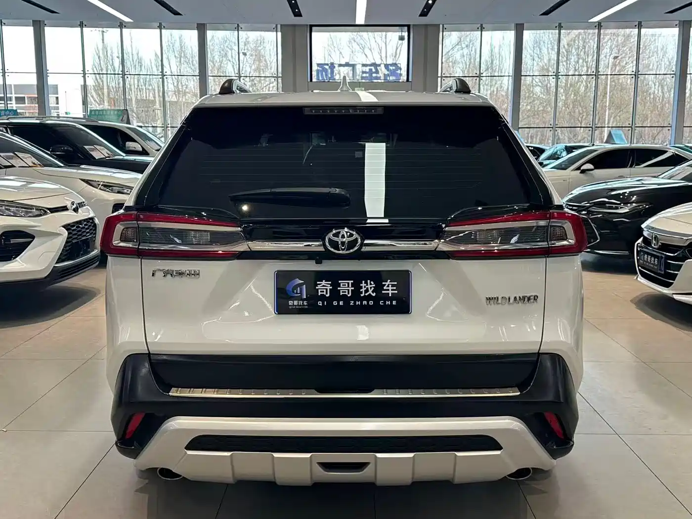 Toyota Wildlander 2020 2.0L CVT 2WD Luxury Edition фото 4