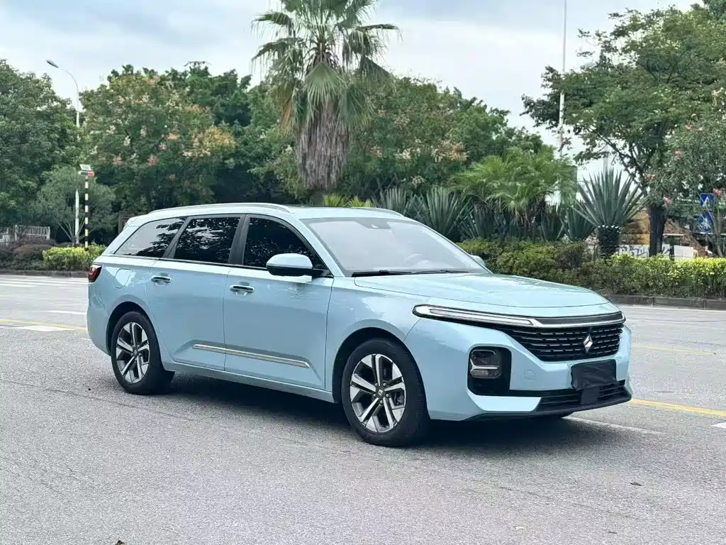 Baojun Valli 2021 2021 1.5T Nagqu Starry Sky CVT Flagship Model