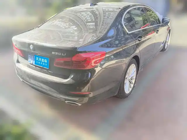 BMW 5 Series 2019 530Li Leading Luxury Package — фото 2