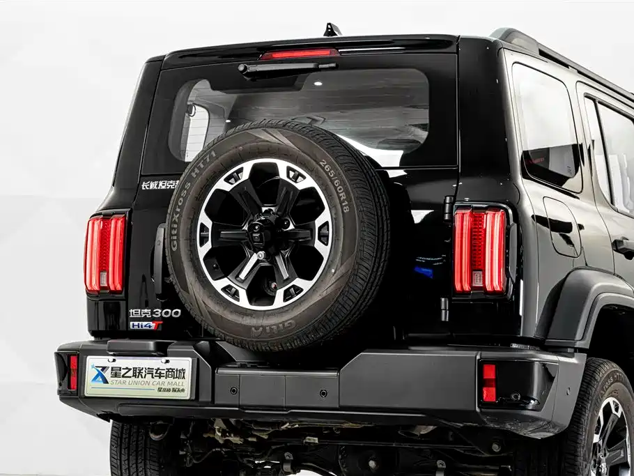 Tank 300 New Energy 2025 2025 Hi4-T 36.7kWh Edition