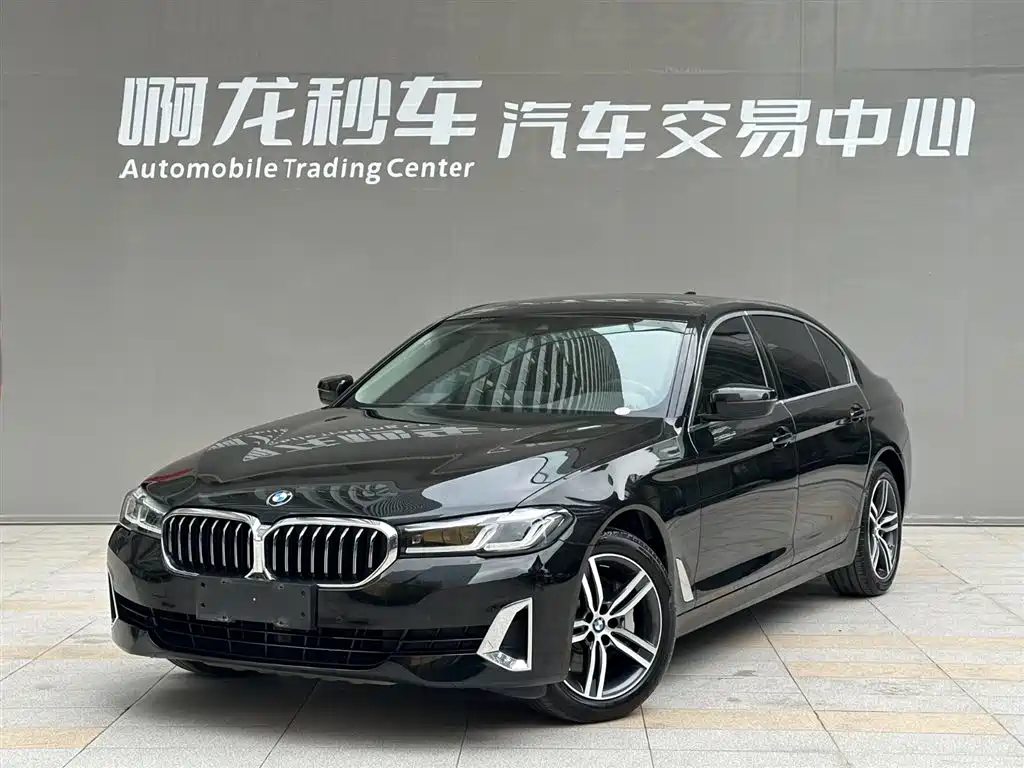 BMW 5 Series 2021 530Li Leading Luxury Package