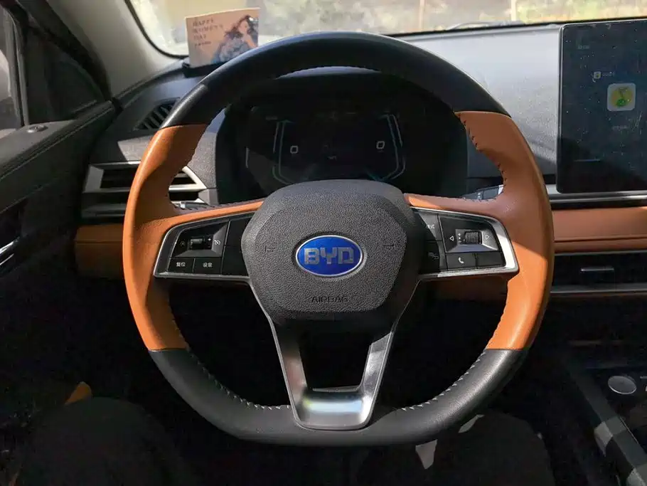 BYD e2 2022 2021 Luxury Edition