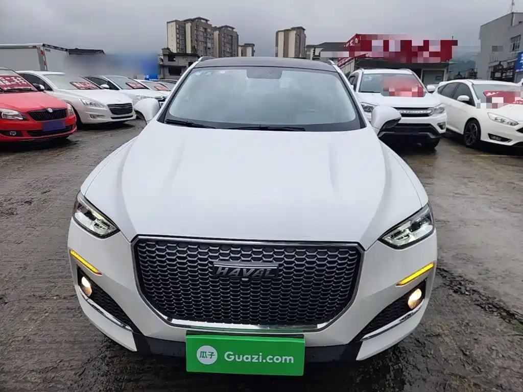2019 Haval F5