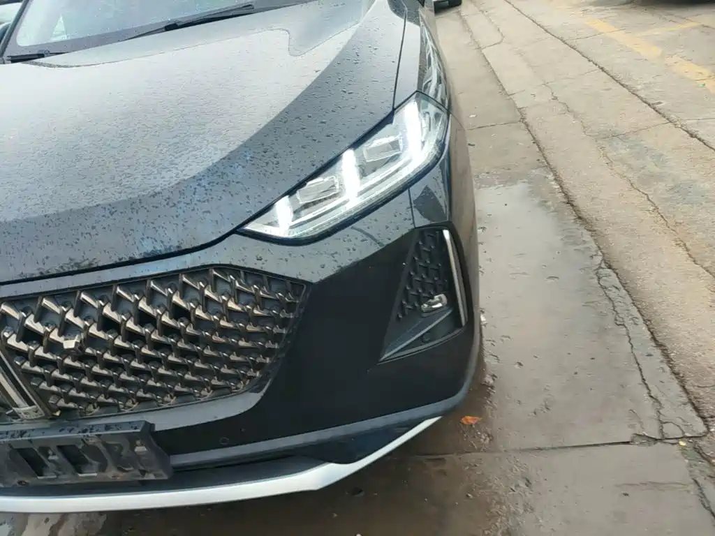 WEY Macchiato DHT-PHEV 2022 2021 1.5L Master Edition