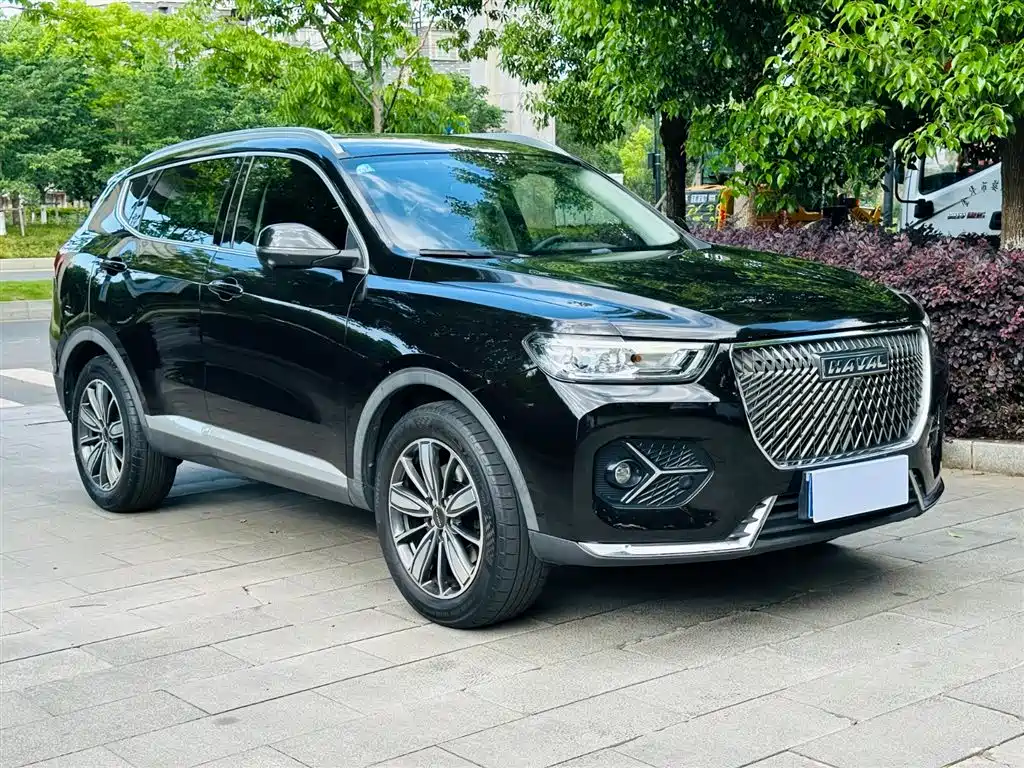 Haval H6 2021 1.5GDIT Automatic Champion Edition фото 3