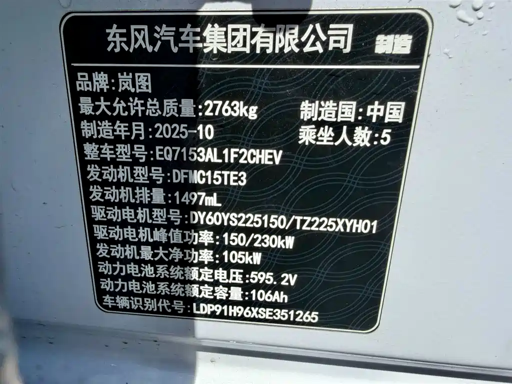 Voyah Auto VOYAH Zhuiguang L 2025 2025 Mid-configuration Model