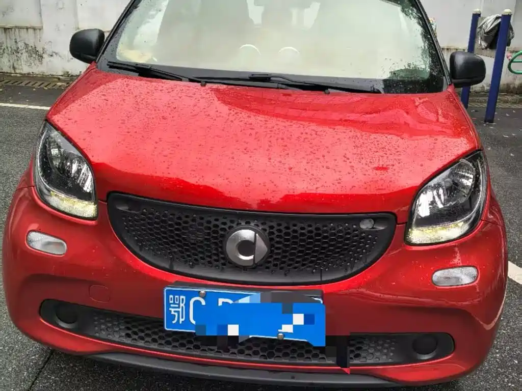 Фото 5 - smart forfour
