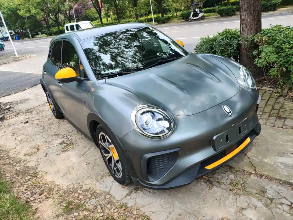 Ora Good Cat GT 2024 2022 Model Mulan Edition 401km Standard Range