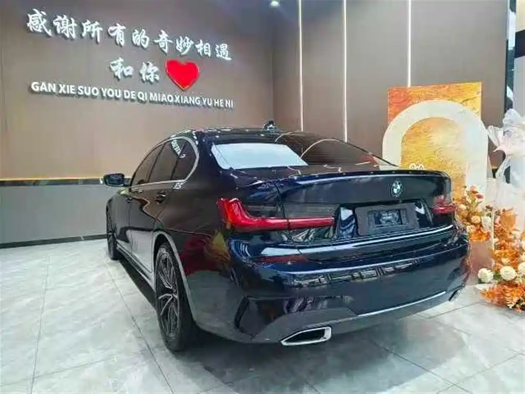 BMW 3 Series 2020 325Li M Sport Package фото 8