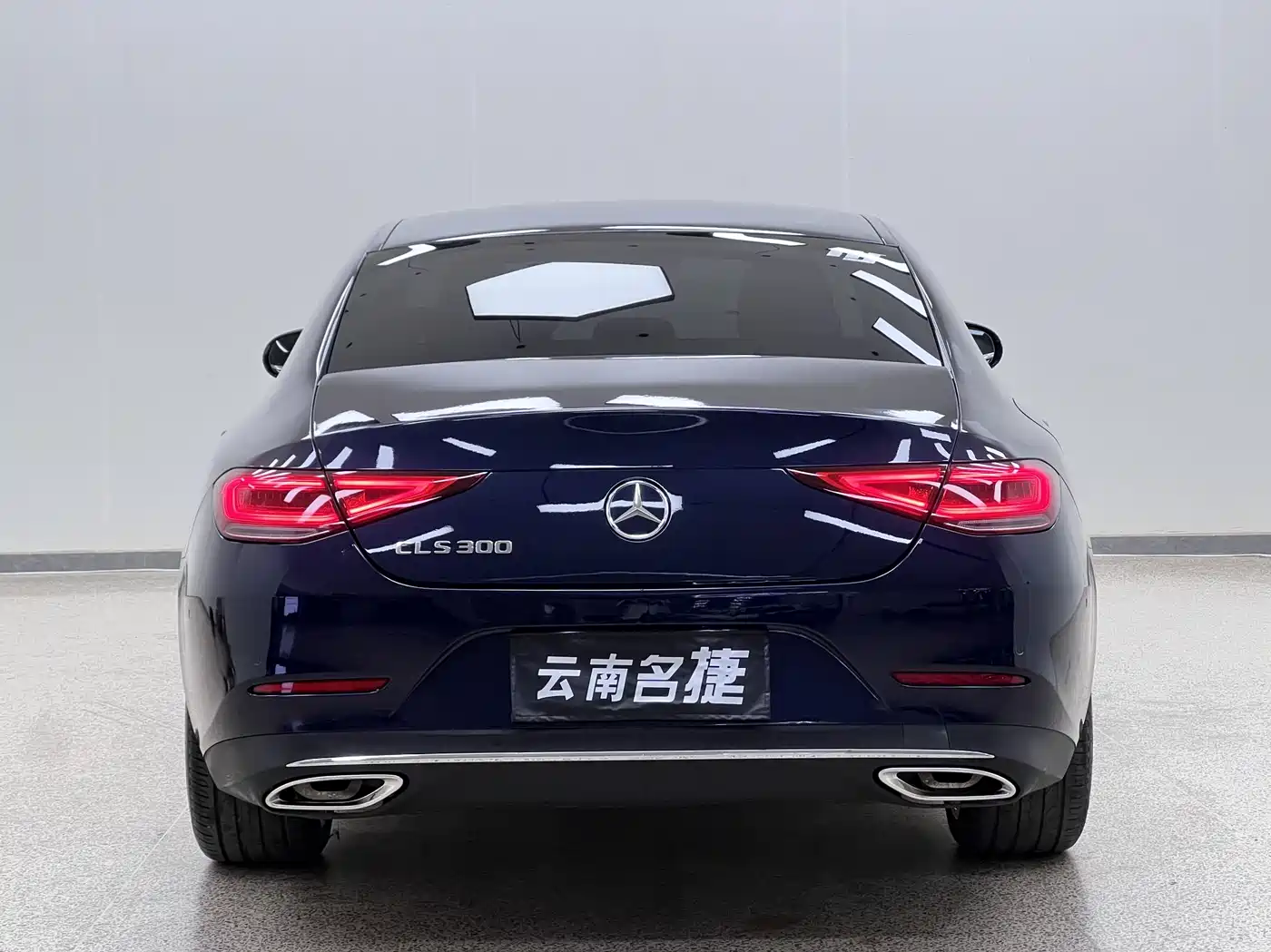 Mercedes-Benz CLS 2018 CLS 300 Dynamic фото 6