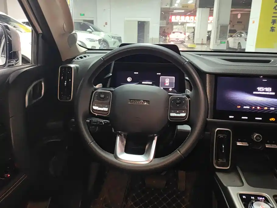 Haval Dargo 2025 2024 2.0T DCT Chinese Rural Dog Edition