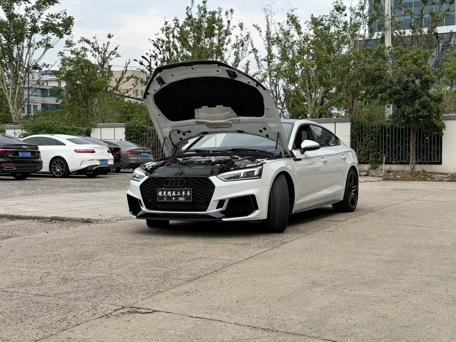Фото 1 - Audi S5