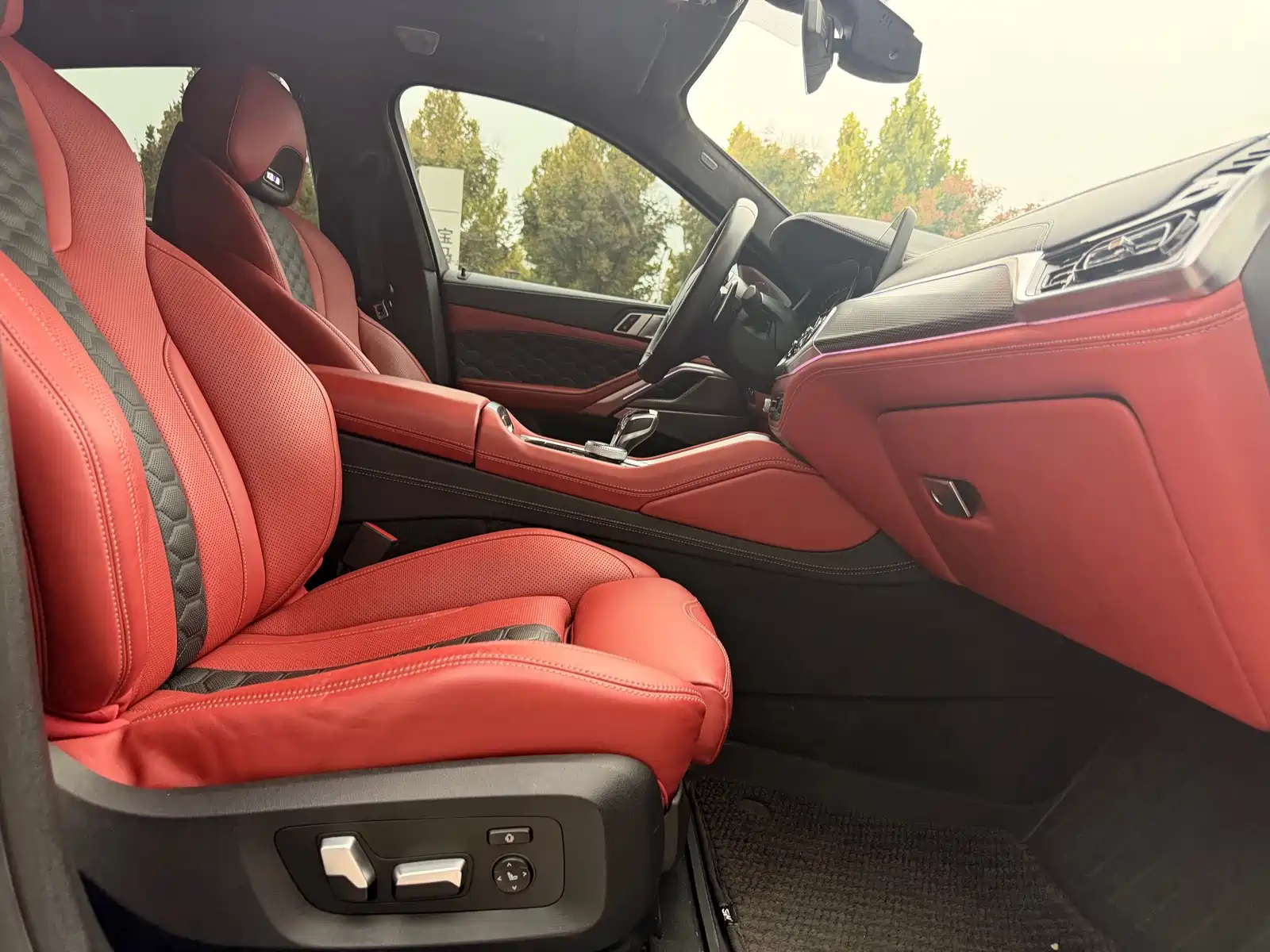 Photo 22 - BMW X6
