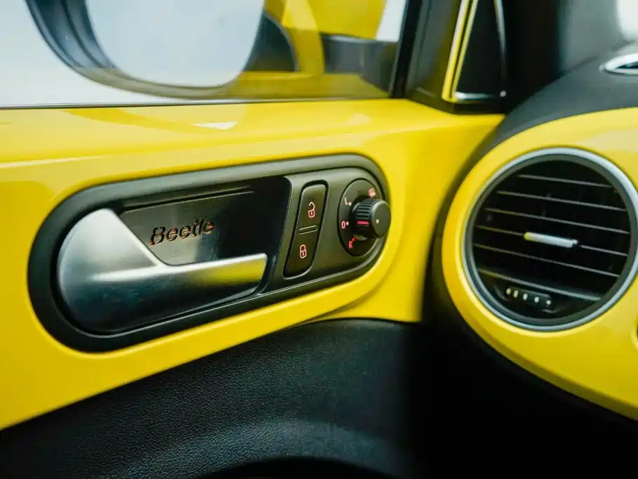 صورة 19 - Volkswagen Beetle