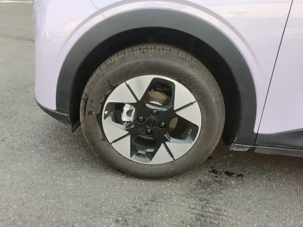Geely Galaxy Starry Wish 2026 2026 Edition 410km Freedom Version
