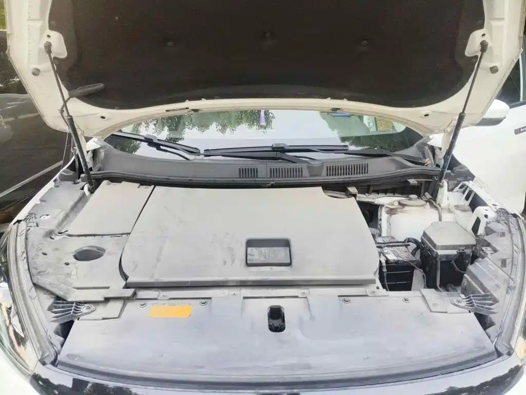 Weltmeister EX5 2019 2019 EX5 Mate Power Alliance Edition 400