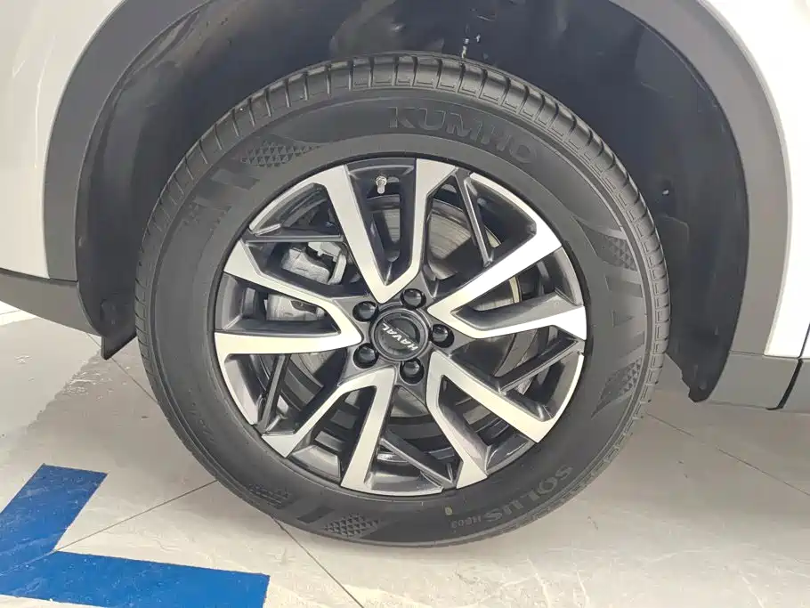 Haval H6 2025 2024 Model 1.5T 2WD Classic Edition