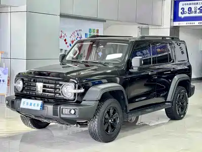 Tank 300