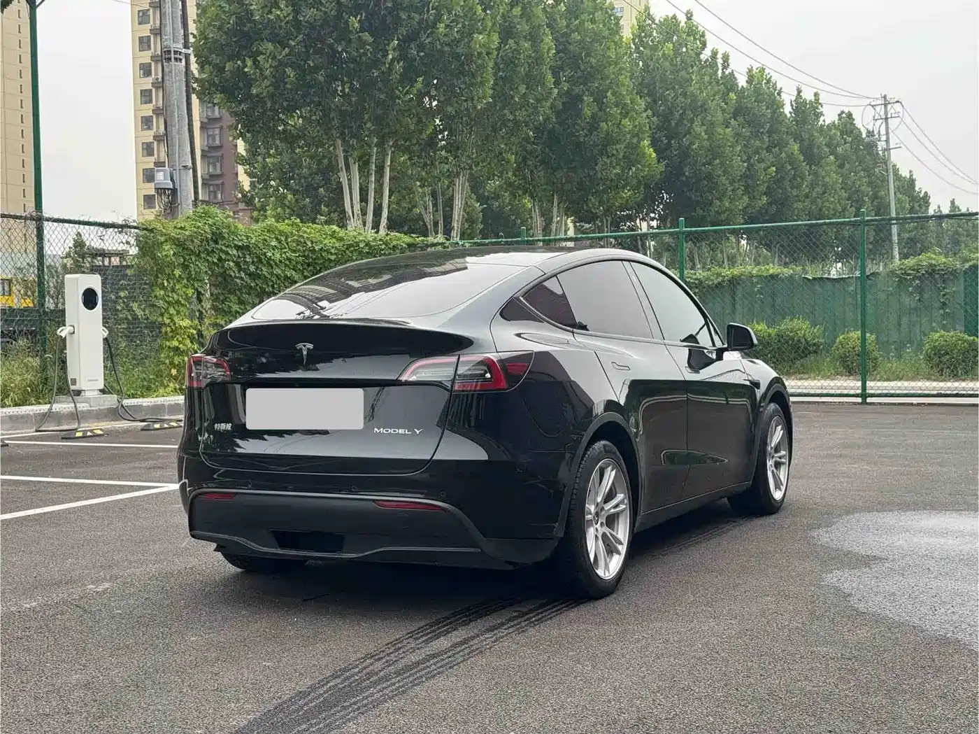 Photo 6 - Tesla Model Y