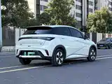 Фото 9 - BYD Dolphin