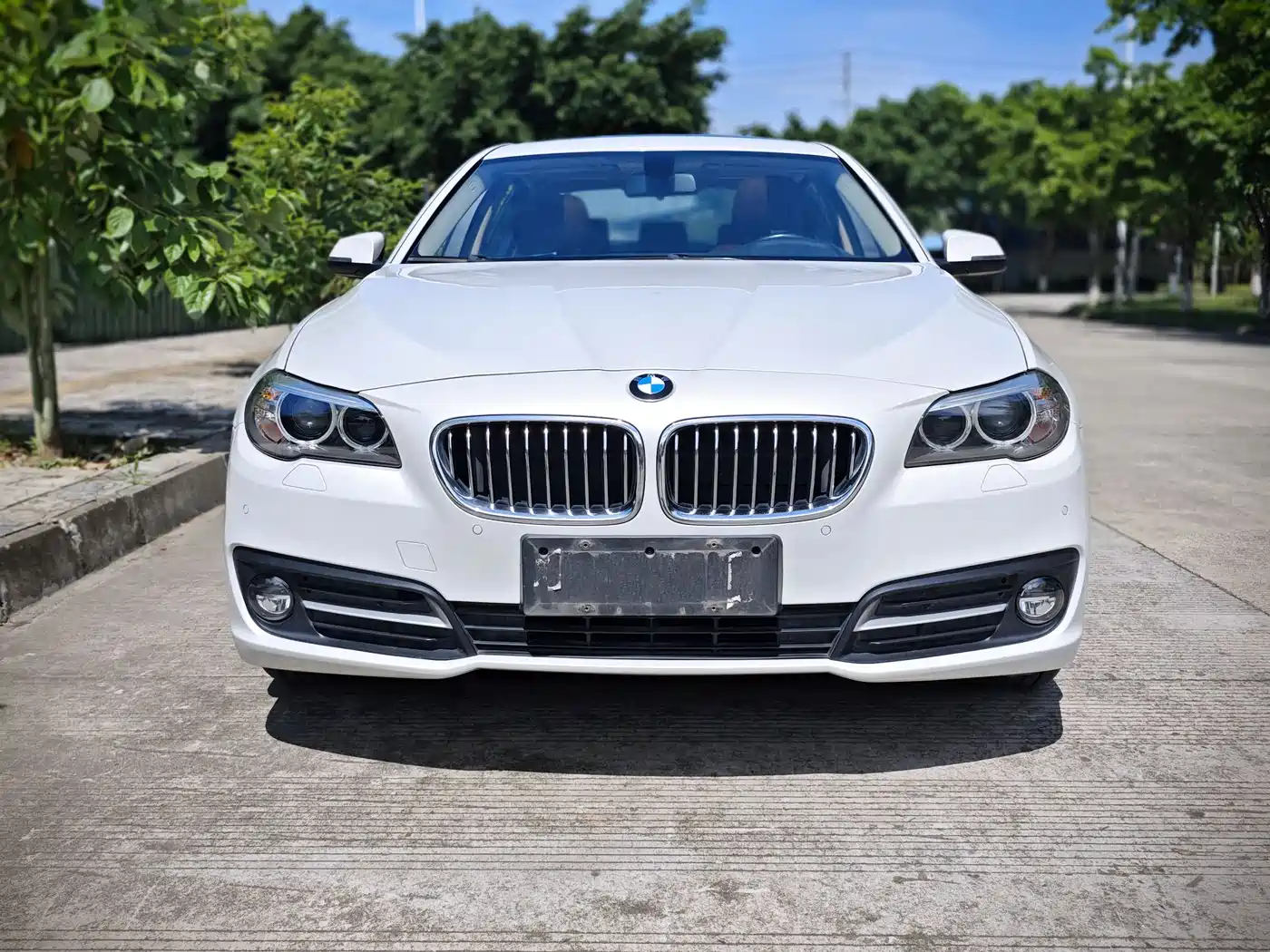 BMW 5 Series 2014 520Li Elegance фото 2